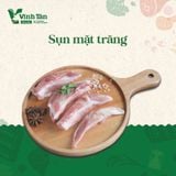  SỤN MẶT TRĂNG 
