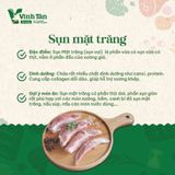 SỤN MẶT TRĂNG 