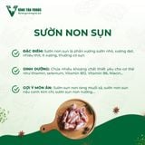  SƯỜN NON SỤN 