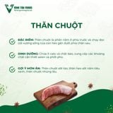  THĂN CHUỘT 