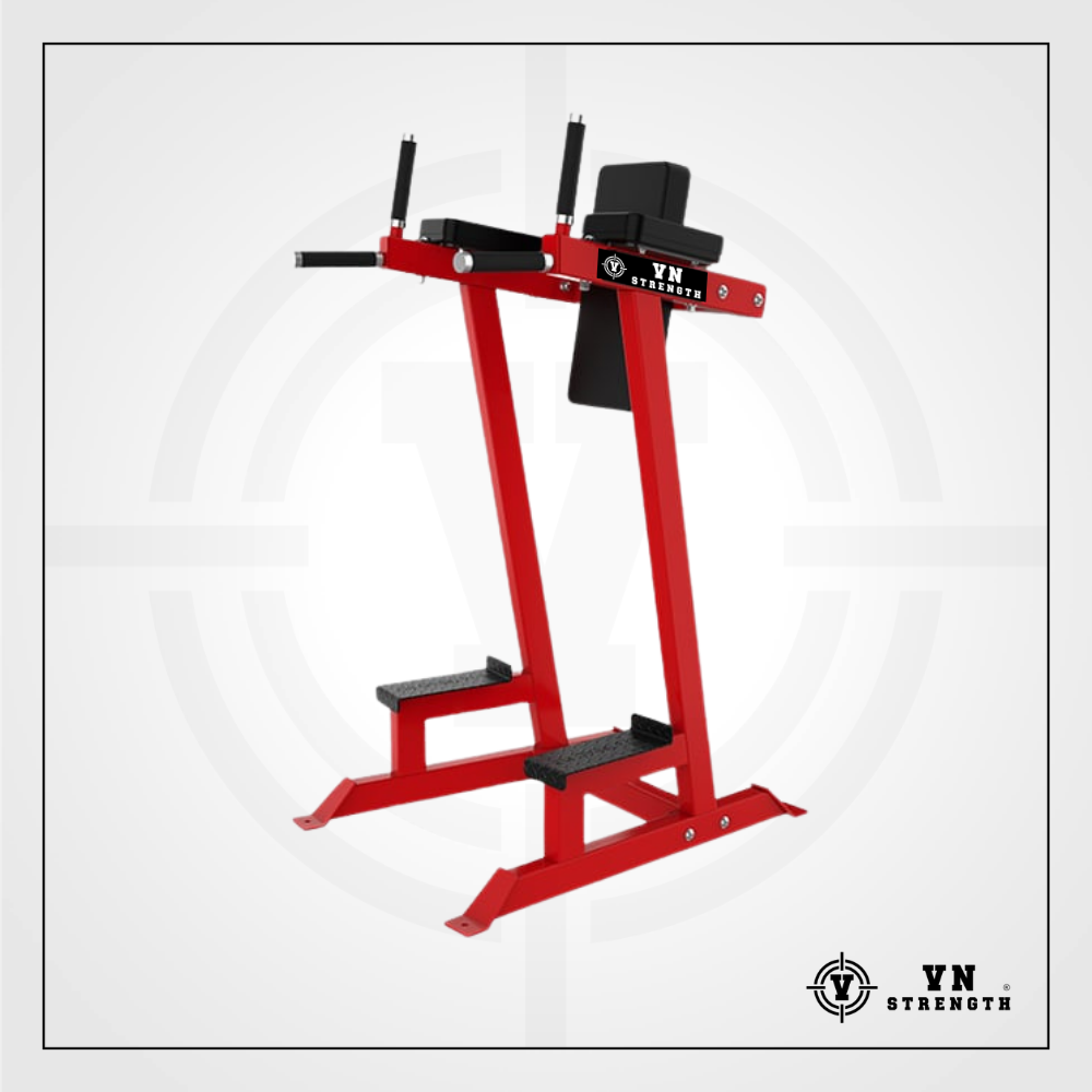 GHẾ TẬP BỤNG, TAY SAU︱VERTICAL KNEE RAISE/DIP STATION︱ARS-054