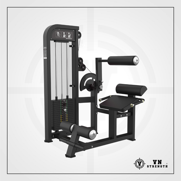 Máy Khối Duỗi Lưng︱Back Extension︱HS31