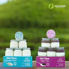  SỮA CHUA ĂN HỮU CƠ MUC ĐỒNG 