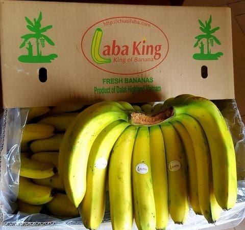  chuối labaking hữu cơ - kg 