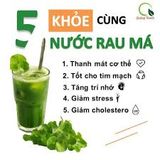  Bột rau má Quảng Thanh 