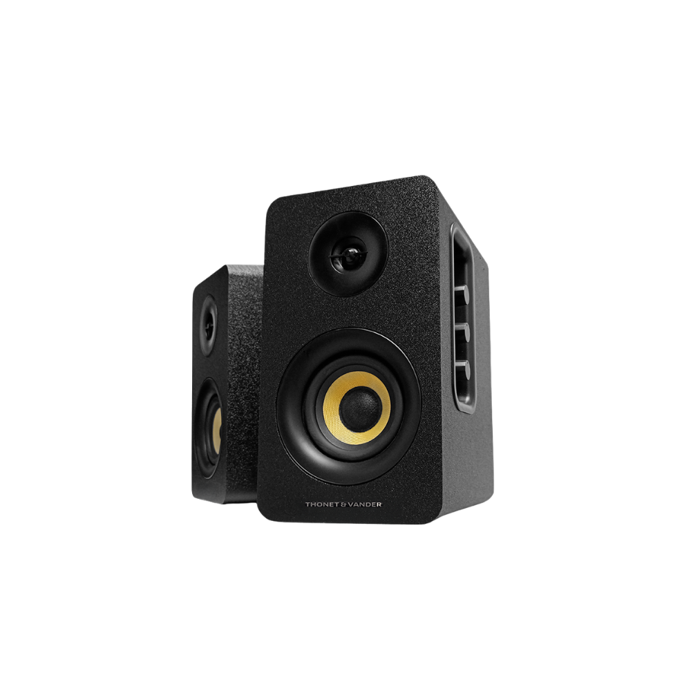  Loa Thonet & Vander Kumpel Bluetooth 