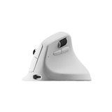  Chuột Keychron M5 Ergonomic (công thái học, không dây) 
