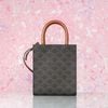 Túi đeo Céline Triomphe Vertical Mini Tote in Triomphe Monogram Canvas size 20