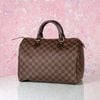 Túi du lịch Louis Vuitton Speedy Damier Ebene size 30 (NEW SS - Code chip)