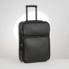 Vali Louis Vuitton Pégase Légère Brown Taiga Size 50