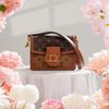 Túi đeo Louis Vuitton Dauphine