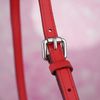 Túi đeo Louis Vuitton Dora MM Monogram Ebene / Red Calfskin