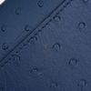 Clutch Louis Vuitton Thames Ostrich Leather in Blue size 24