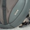 Túi đeo Christian Dior Scarab in Grey (Xám) size 29