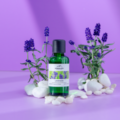 Tinh dầu Himalaya Lavender