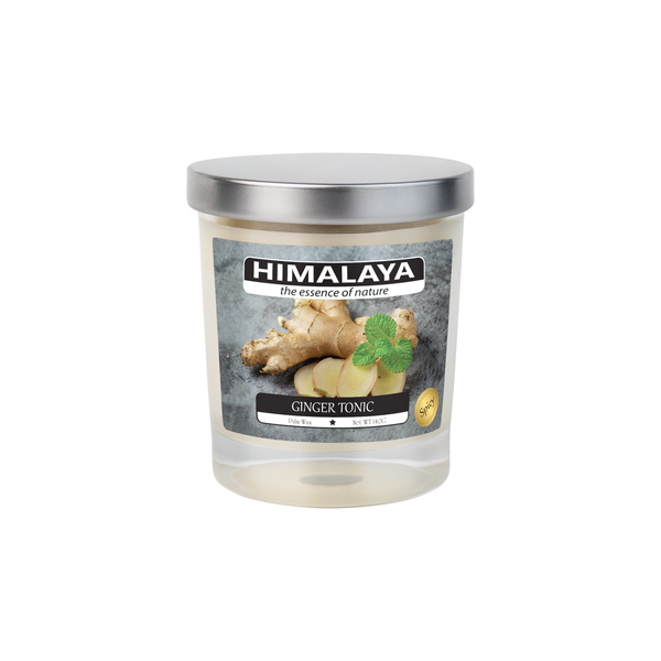 Nến Thơm Himalaya Ginger Tonic (140g)