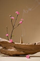 Nụ trầm hương - Hộp 100g