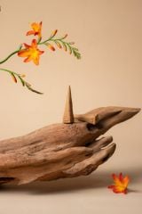 Nụ trầm hương - Hộp 100g