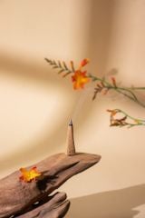 Nụ trầm hương - Hộp 100g