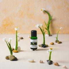 Tinh dầu Lily Of The Valley