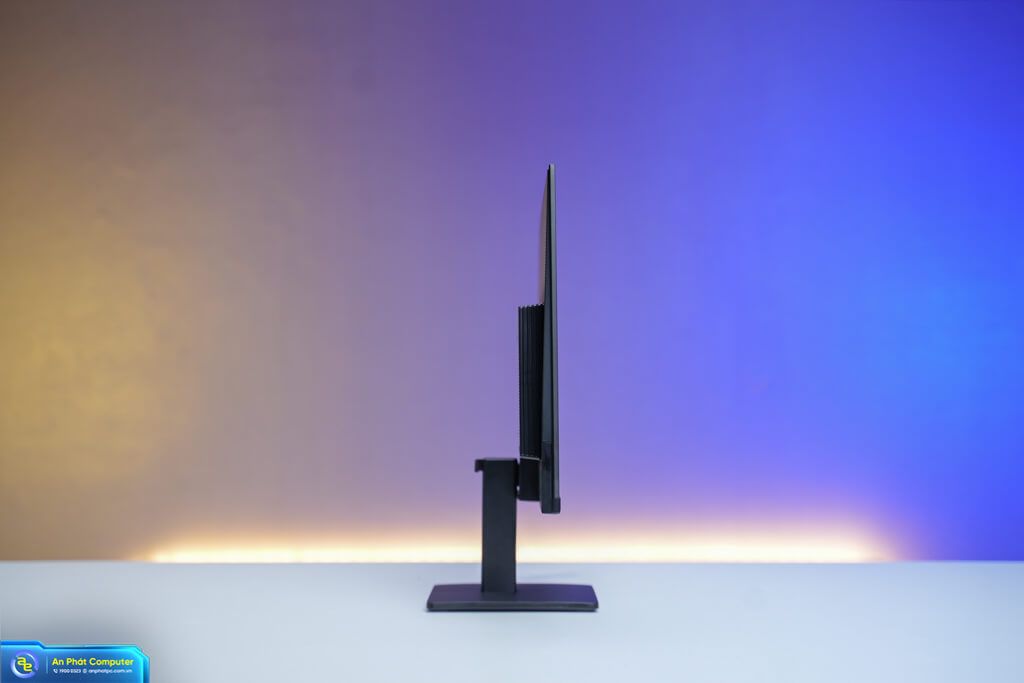 Màn Hình SAMSUNG LS24D300GAEXXV (24 inch - IPS - FHD - 5ms - 100Hz)