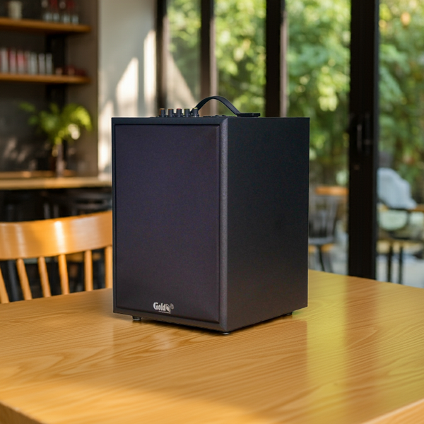 Loa Bluetooth G120K Goldsound (120w, Bluetooth 5.0, RCA, USB)