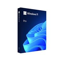 Phần mềm Microsoft Windows Pro 11 64Bit USB FPP/HAV-00163
