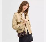  Túi Nữ Coach Ashton Mini Shoulder Bag 'Brown' 