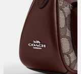  Túi Nữ Coach Ashton Mini Shoulder Bag 'Brown' 