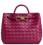  Túi Nữ Bottega Veneta Small Andiamo 'Cinnabar' 