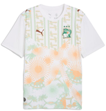  Áo Puma Ivory Coast 2026 Away Jersey 
