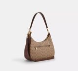  Túi Nữ Coach Teri Hobo Bag 'Brown' 