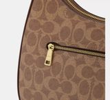  Túi Nữ Coach Teri Hobo Bag 'Brown' 