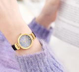  Đồng Hồ Nữ Vivienne Westwood Hampton 'Mother of Pearl' 