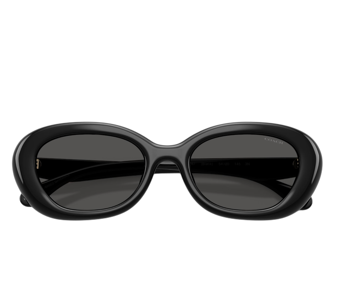  Kính Coach Sunglasses 'Black' 