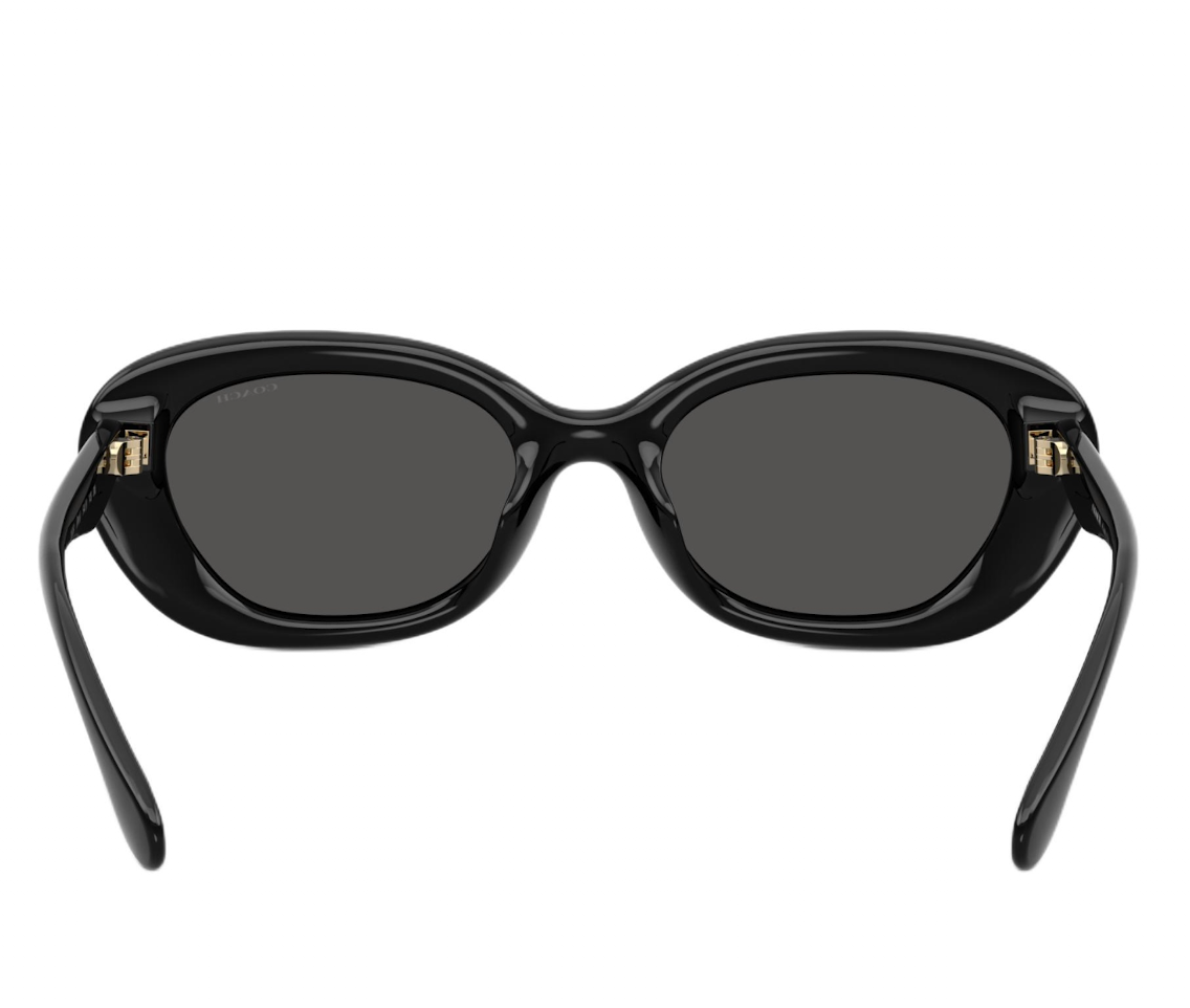  Kính Coach Sunglasses 'Black' 