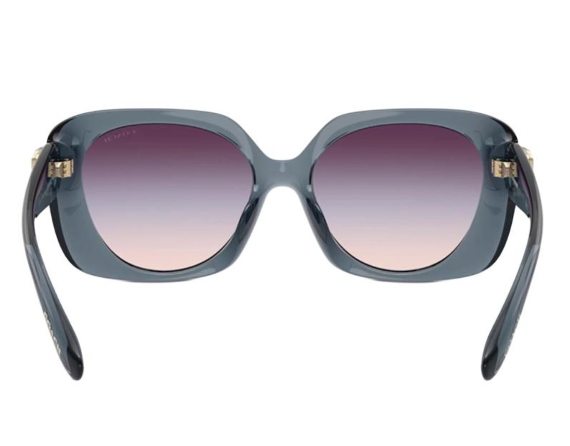  Kính Coach Sunglasses 'Grey' 