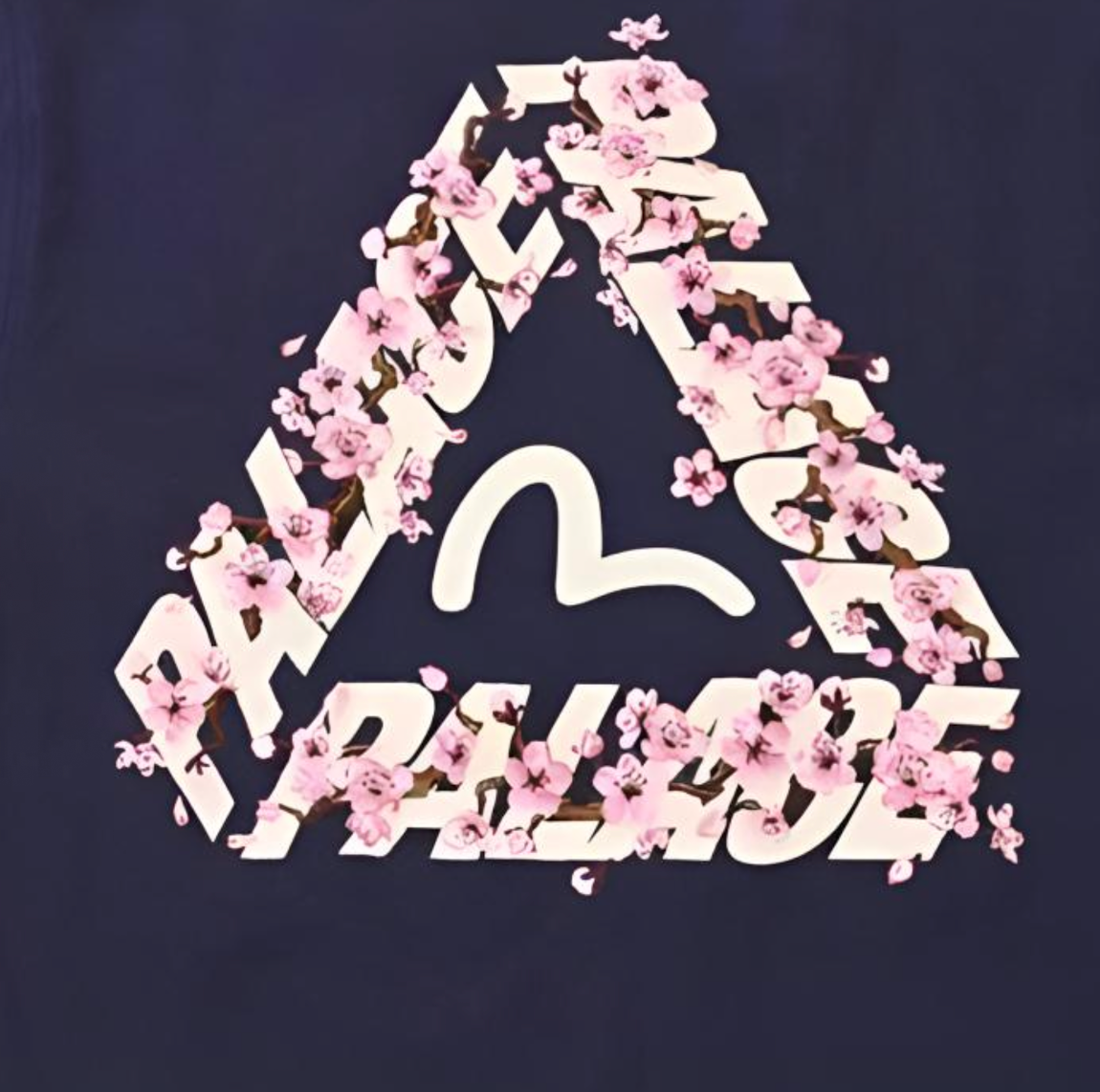  Áo Palace x Evisu Street Style T-shirt 'Black' 