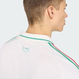  Áo Adidas Wales National Team Away Replica Jersey 26 