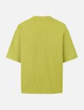  Áo Evisu Seagull Logo Embroidery T-shirt 'Green' 