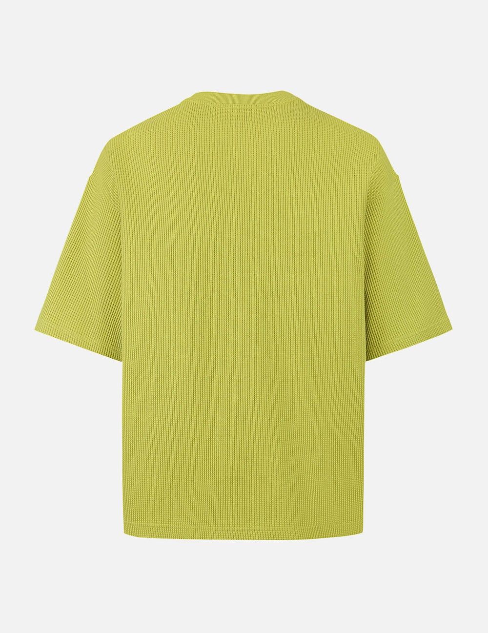  Áo Evisu Seagull Logo Embroidery T-shirt 'Green' 