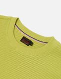  Áo Evisu Seagull Logo Embroidery T-shirt 'Green' 