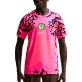  Áo Nike Nigeria 2026 Replica Goalkeeper Jersey 