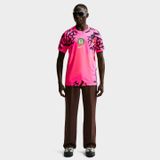  Áo Nike Nigeria 2026 Replica Goalkeeper Jersey 
