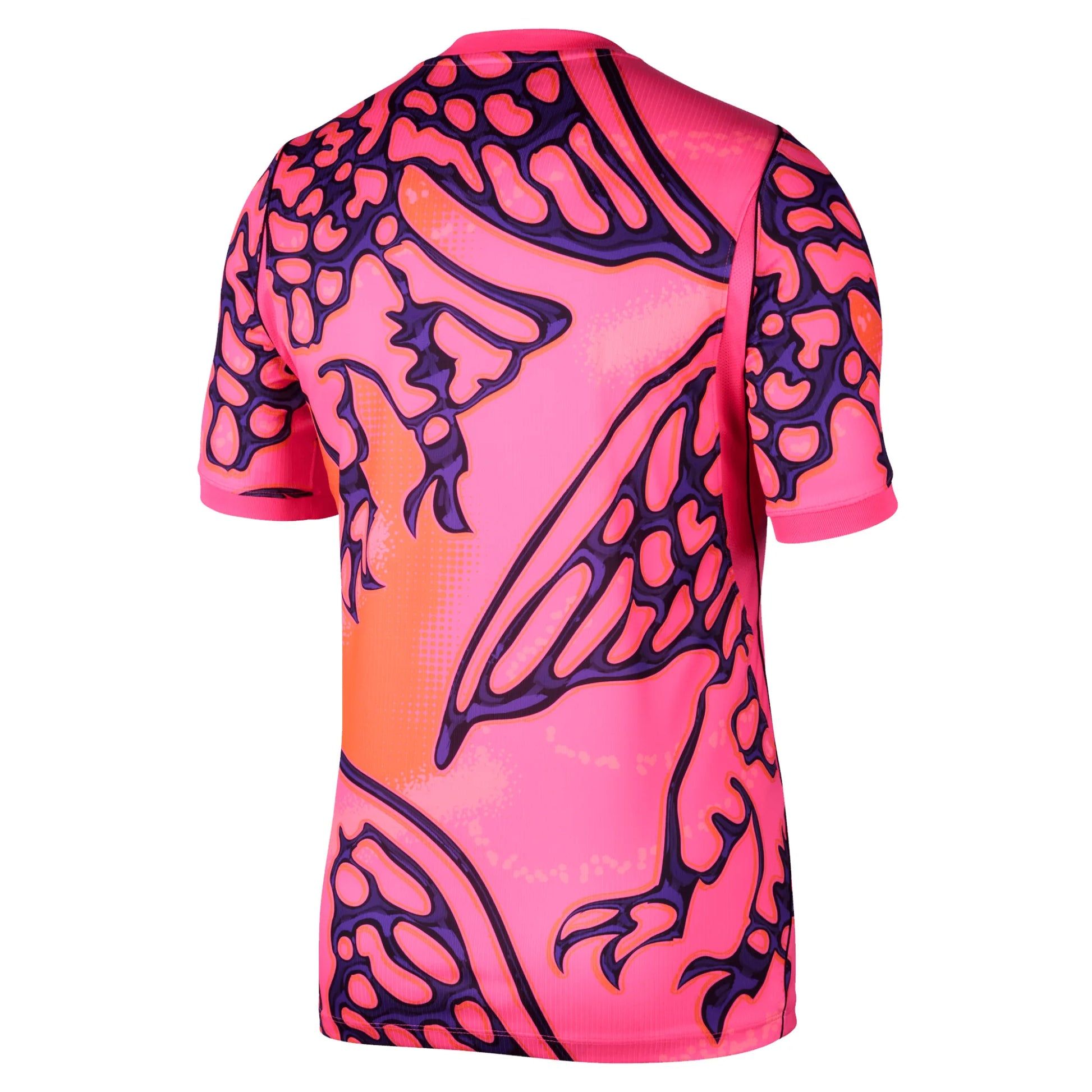  Áo Nike Nigeria 2026 Replica Goalkeeper Jersey 