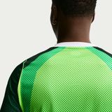  Áo Nike Nigeria 2026 Replica Home Jersey 