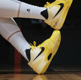  Giày Nike Kobe 4 Protro ‘CHBL’ 