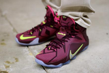  Giày Nike LeBron 12 ‘Double Helix’ 