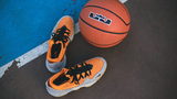  Giày Nike LeBron 16 Low 'Atmos Safari' 