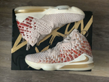  Giày Nike LeBron 17 PRM EP ‘Win Win’ 